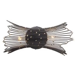 Rikki 320B02CBAG 2-Light Vanity Light - Carbon/Aged Gold