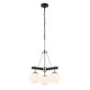 Allie 352C03BLPN 3-Light Chandelier - Black/Polished Nickel -Hanging Lighting 352C03BLPN