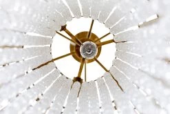 Lafayette 359C07HG 7-Light Chandelier - Havana Gold -Hanging Lighting 359C07HG 5