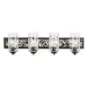 Hammer Time 371B04CBPS 4-Light Vanity Light - Carbon/Polished Stainless -Hanging Lighting 371B04CBPS 1