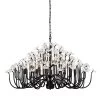 Wildflower 378C15MB 15-Light Chandelier - Matte Black -Hanging Lighting 378C15MB